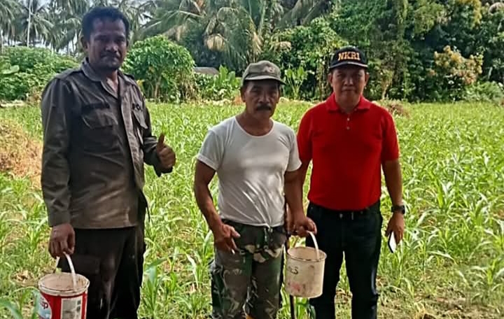 Anggota Polisi,  Polsek Malunda Pantau Jagung di  Desa Bambangan